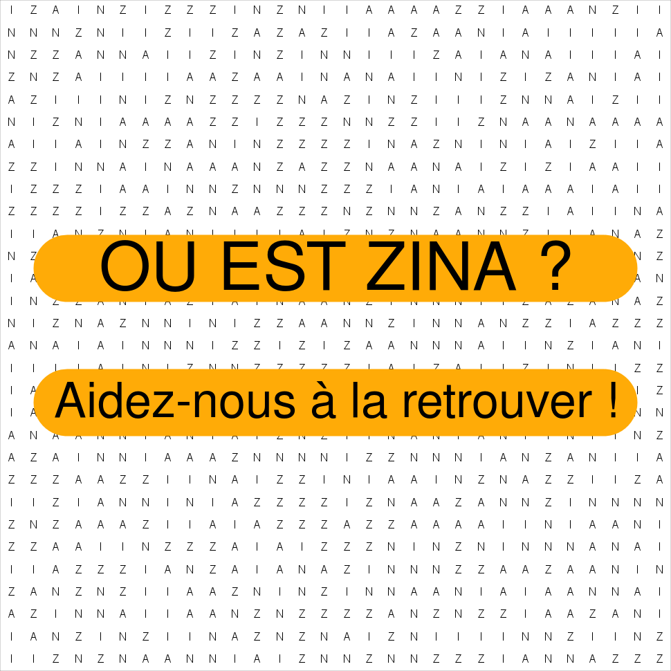 ZINA
