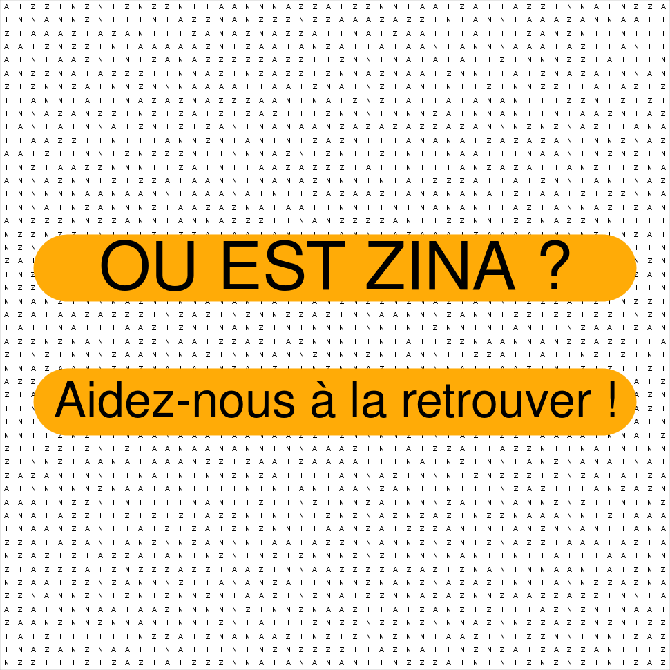 ZINA