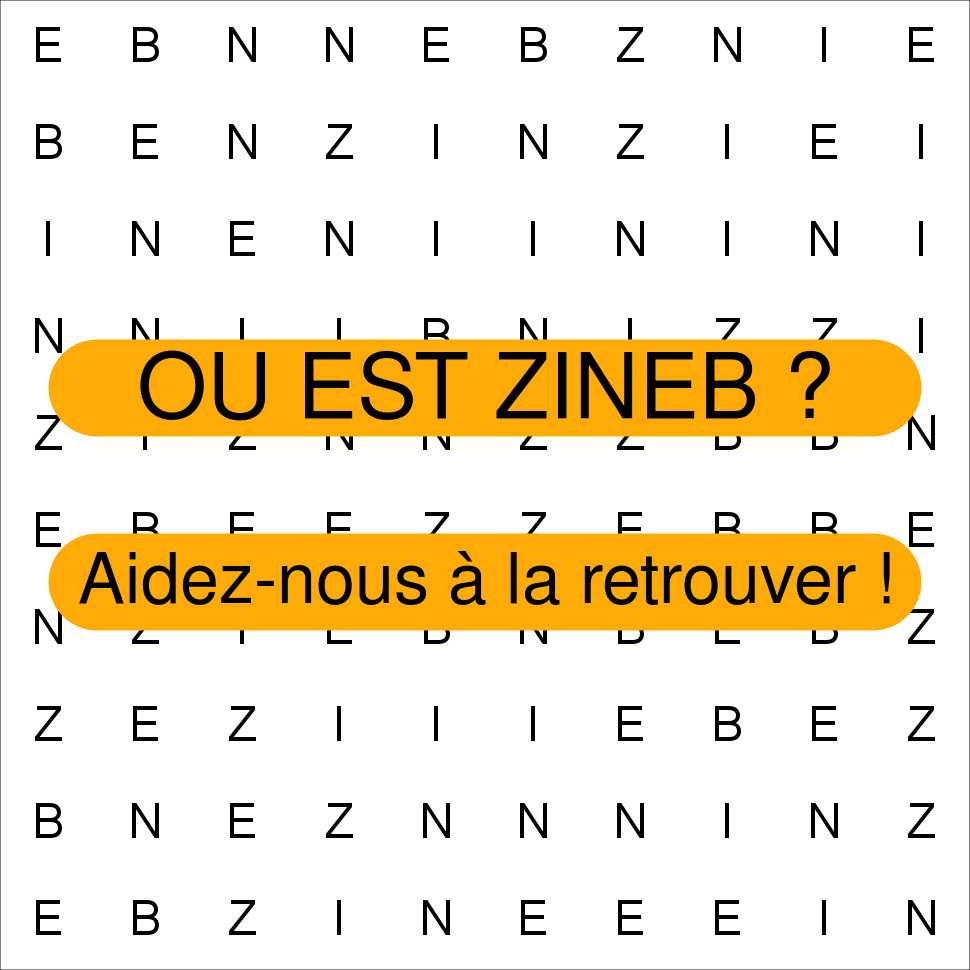 ZINEB