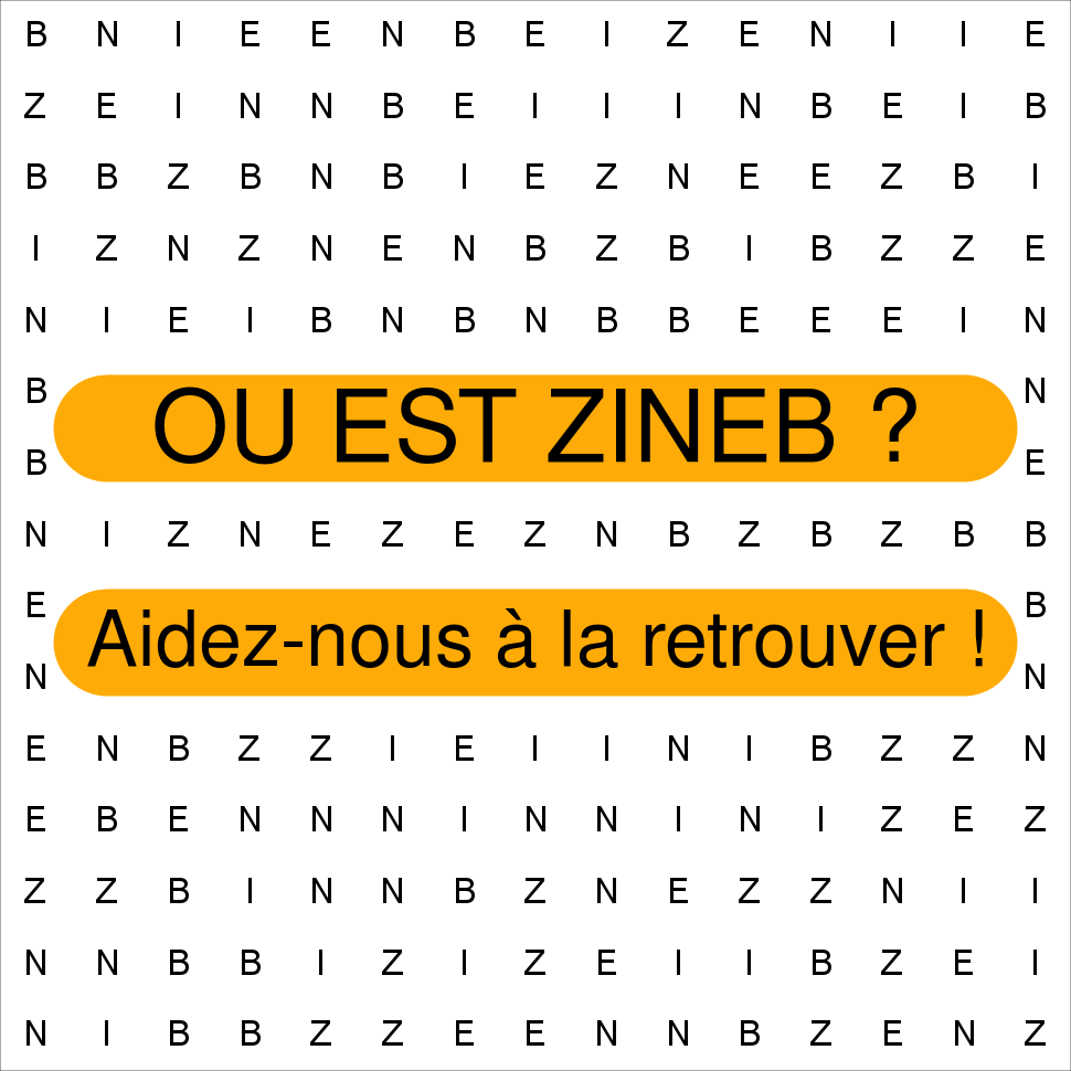 ZINEB