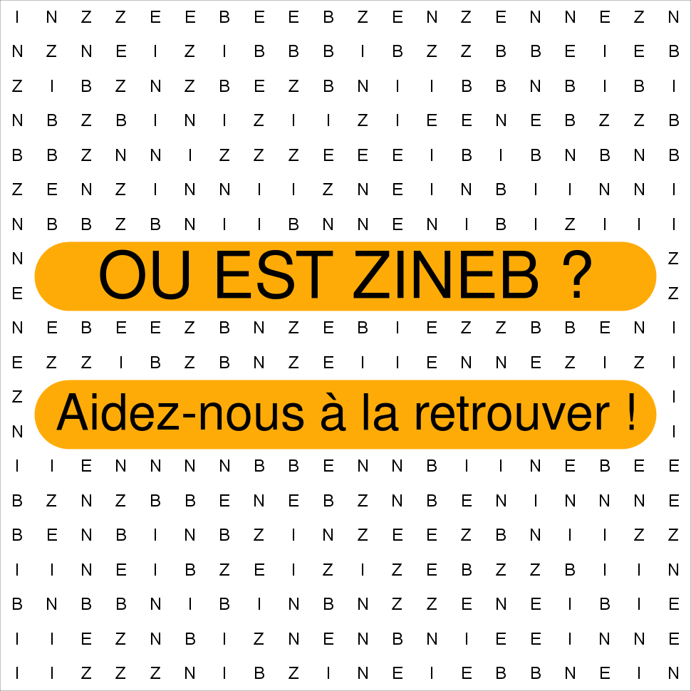 ZINEB