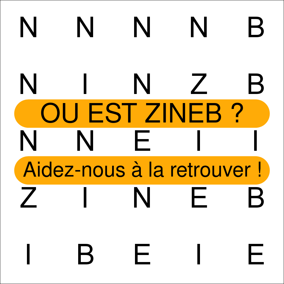 ZINEB